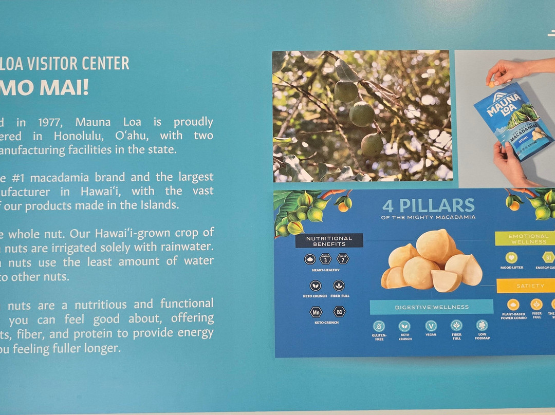 冒纳罗亚火山豆工厂-可亚奥必去景点