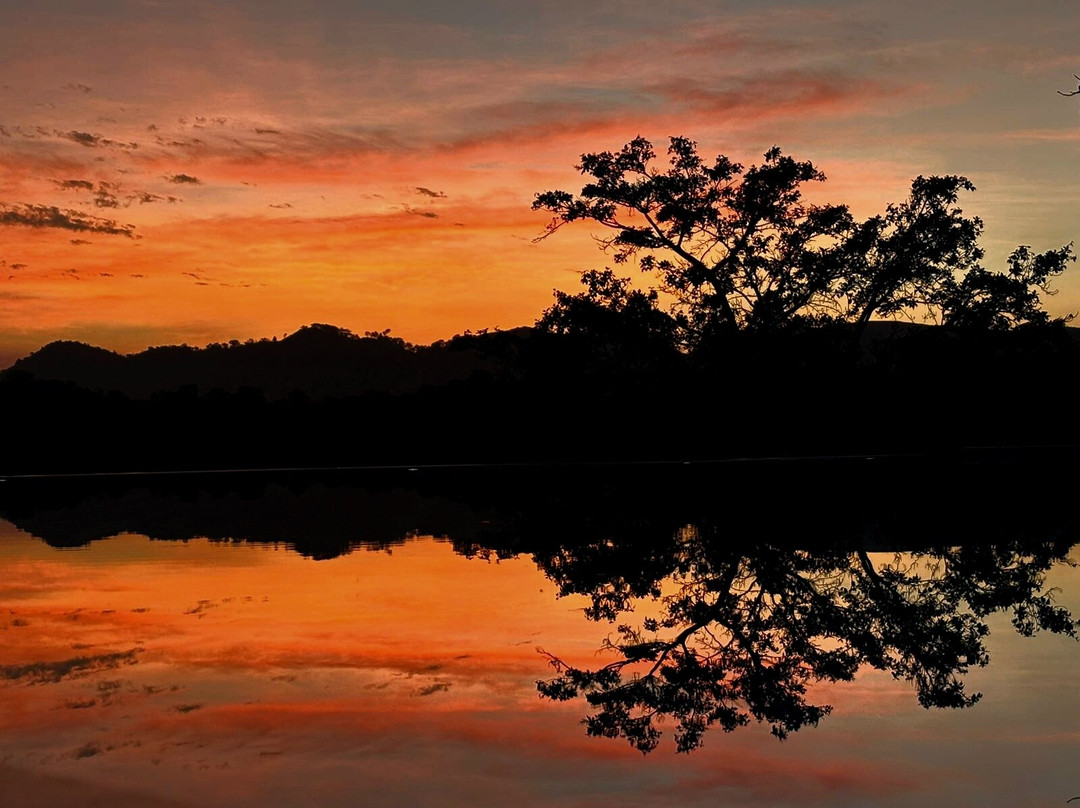 Kumbhal Exotica Resort Kumbhalgarh主图