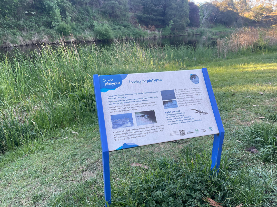 Livingstone Park-Omeo必去景点