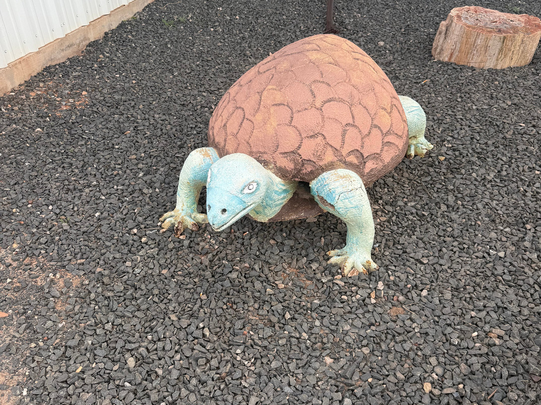 Jim Gray's Petrified Wood Co.-霍尔布鲁克必去景点