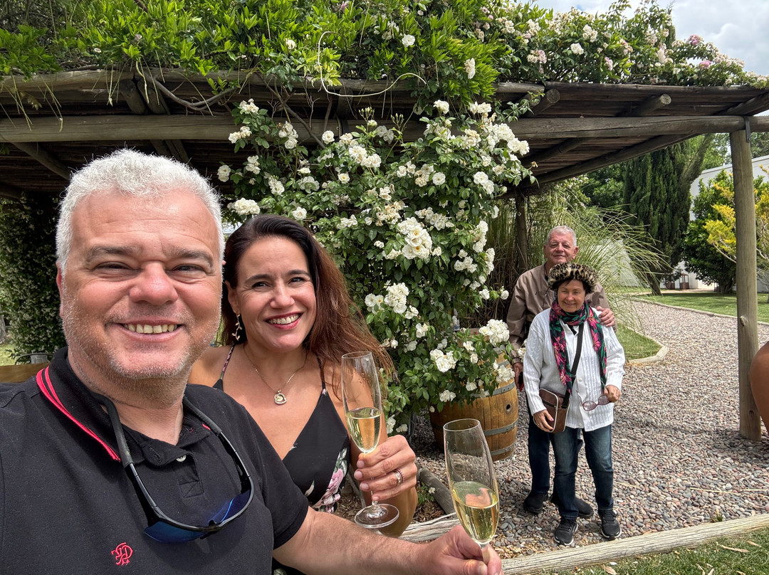 Bodega Alfredo Roca-圣拉斐尔必去景点