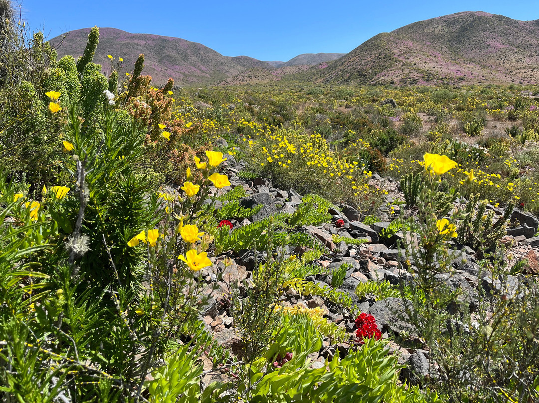 GeoTurismo Atacama-Caldera必去景点