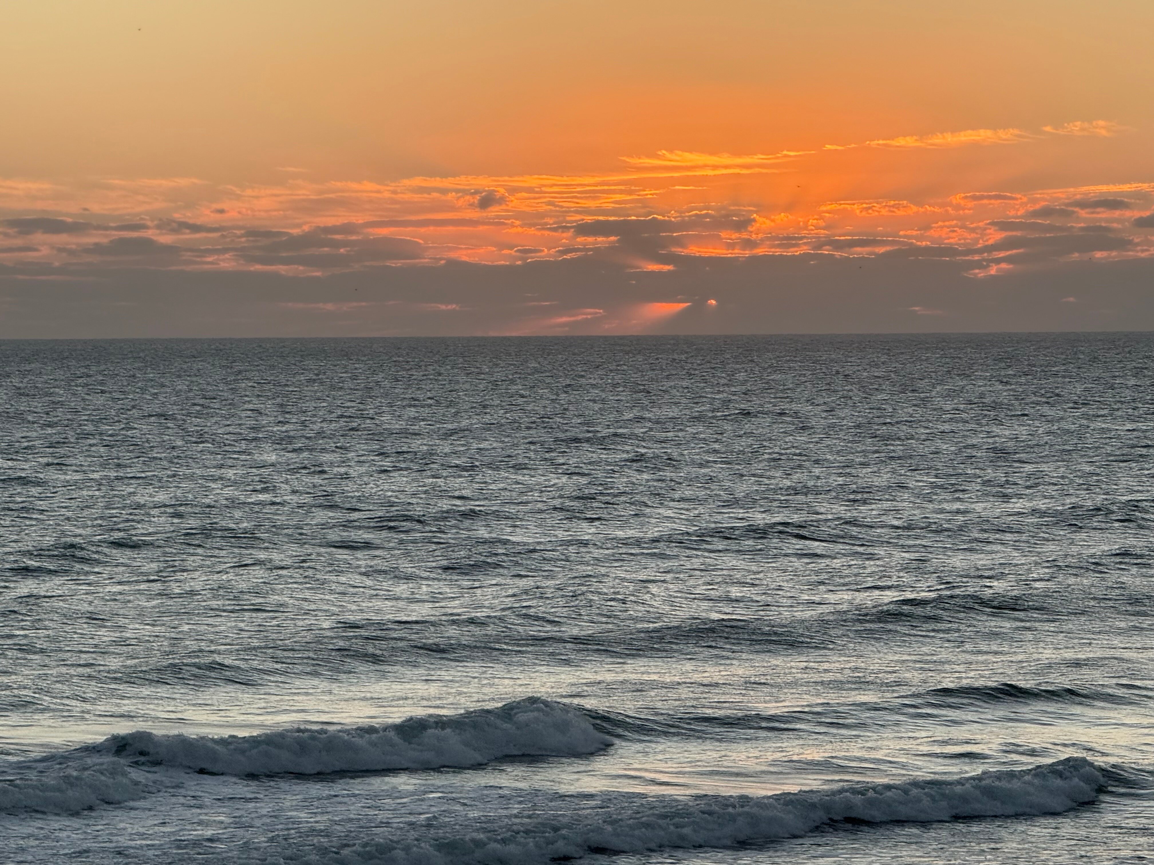 巴哈马豪斯酒店-官方
