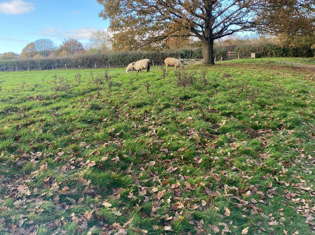 Sissinghurst Castle Estate Walking Trails-Sissinghurst必去景点