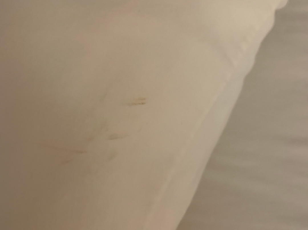 Fairfield by Marriott Inn & Suites San Francisco San Carlos主图