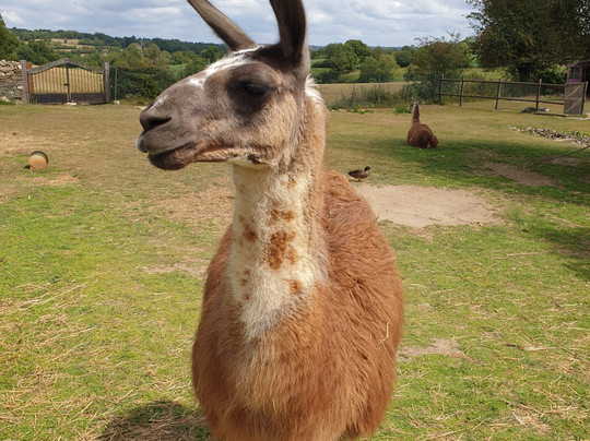 Holidays-Normandy-Nicorps必去景点