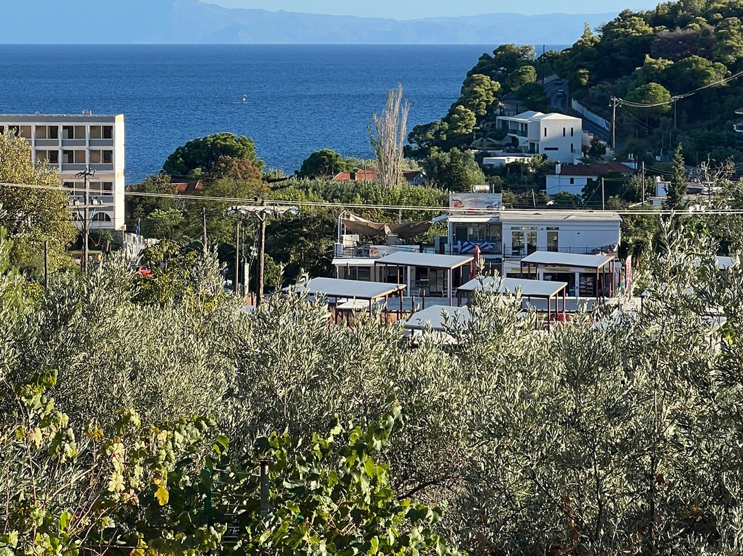 Filokalia Apartments主图