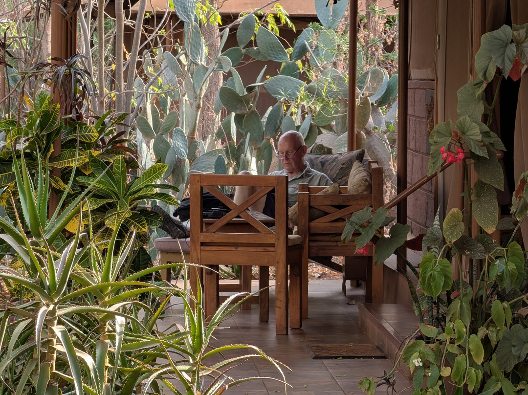 爱威塔野生动物园营地酒店主图