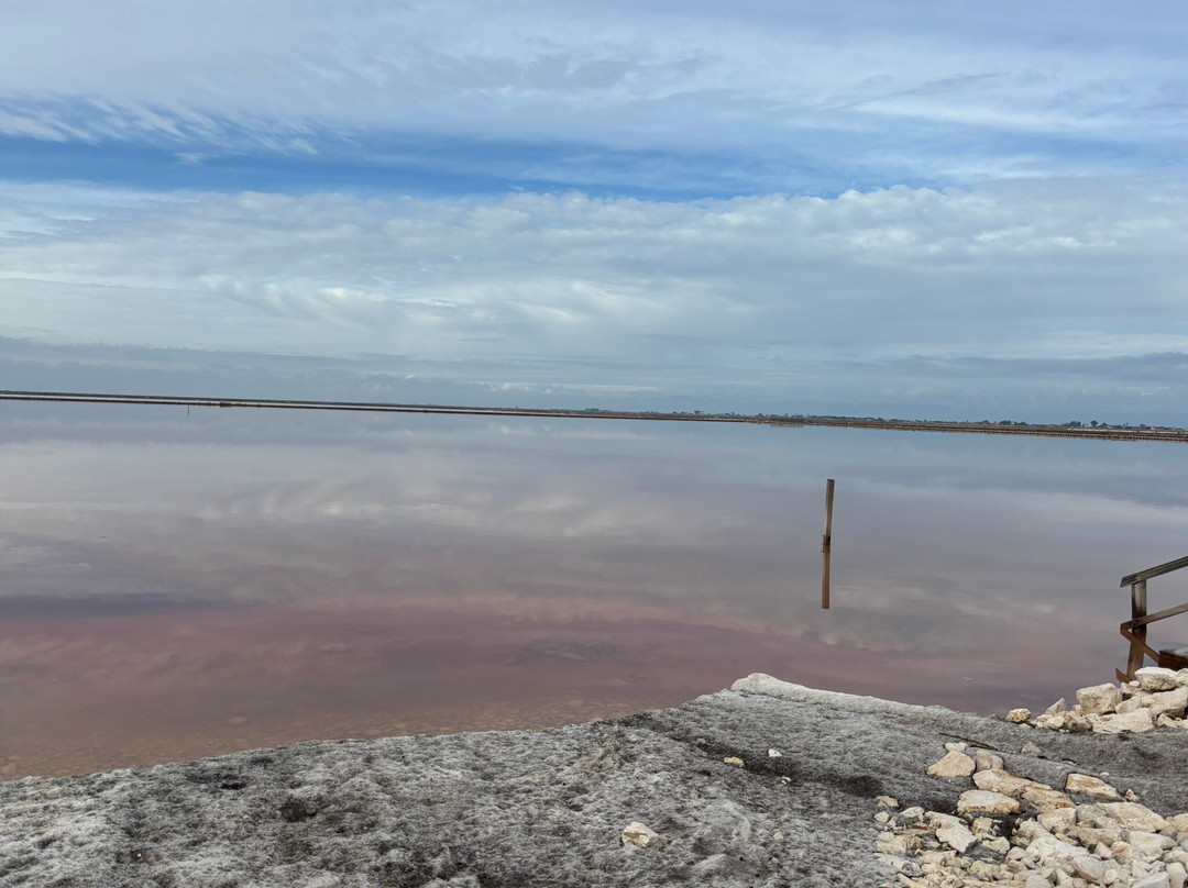 Riserva Naturale di Stato Saline di Margherita di Savoia-Margherita di Savoia必去景点