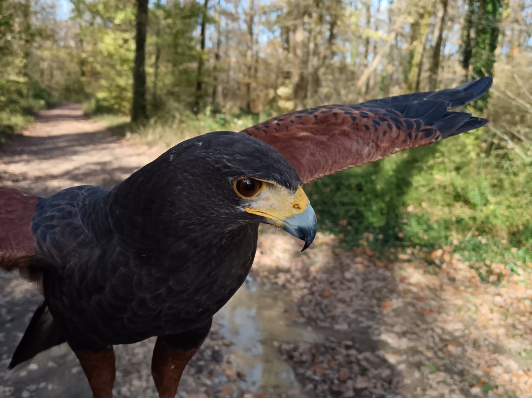 Mon Perroquet & Cie-Montrichard必去景点