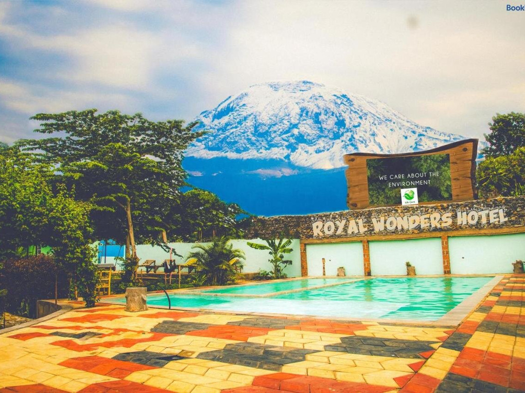 The Comfy Stay Hotel主图