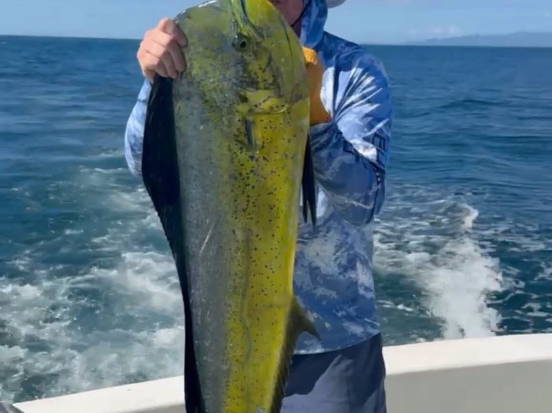 布埃纳昂达别墅主图