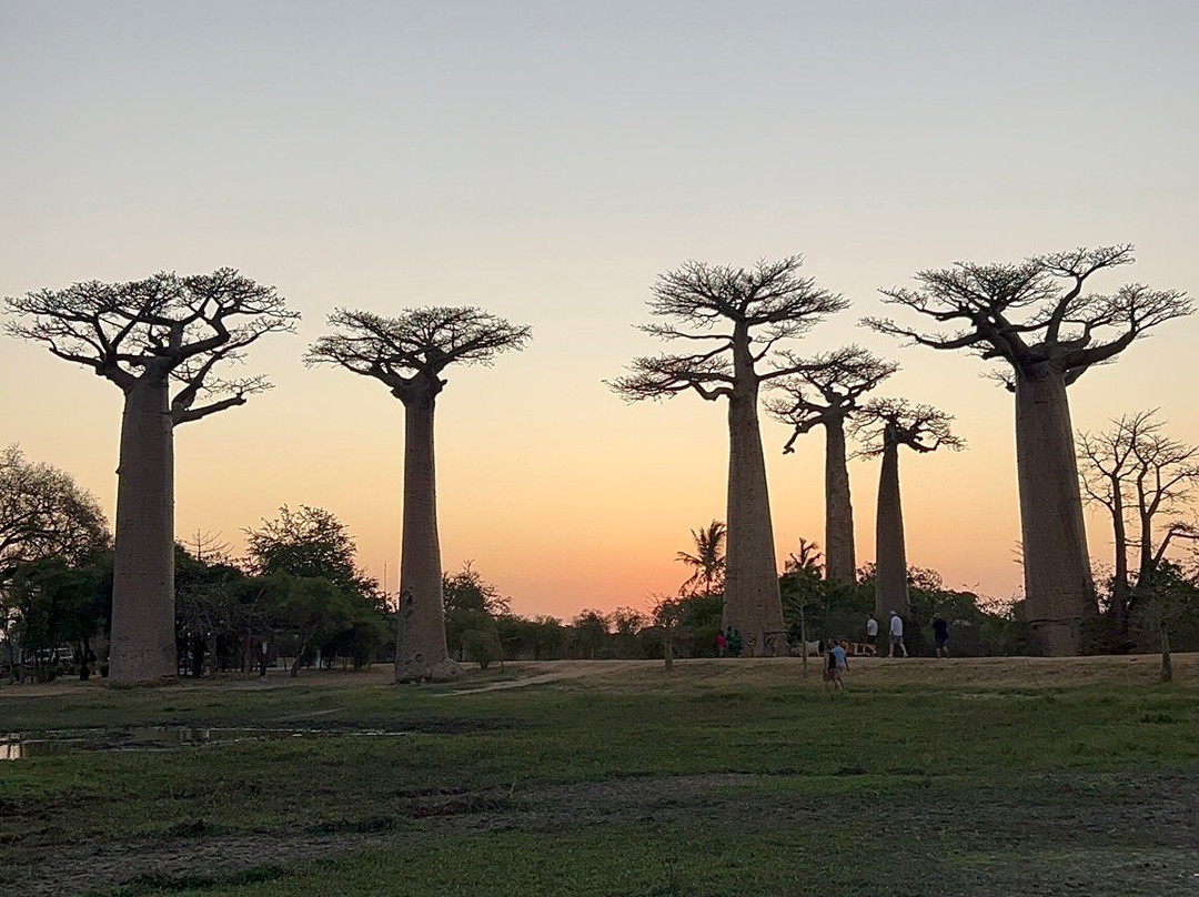 Faniry Madagascar Tours-安塔那那利佛必去景点