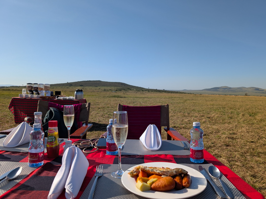 SAFARI VENTURES INC-Usa River必去景点