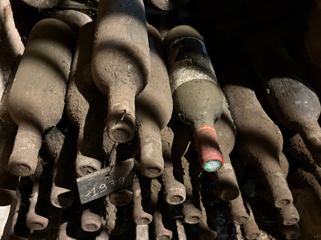 Château Coutet-圣埃美隆必去景点