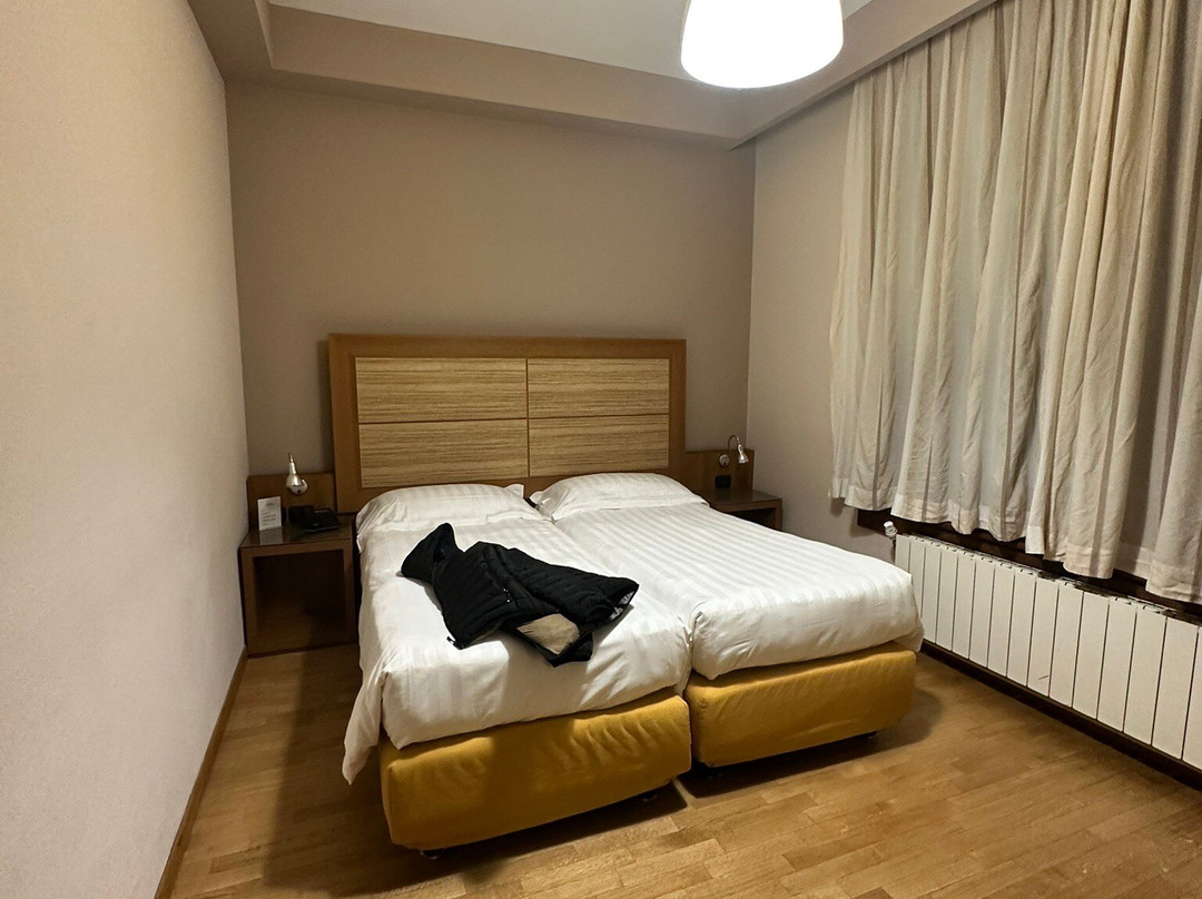 Monica Hotel Fiera主图