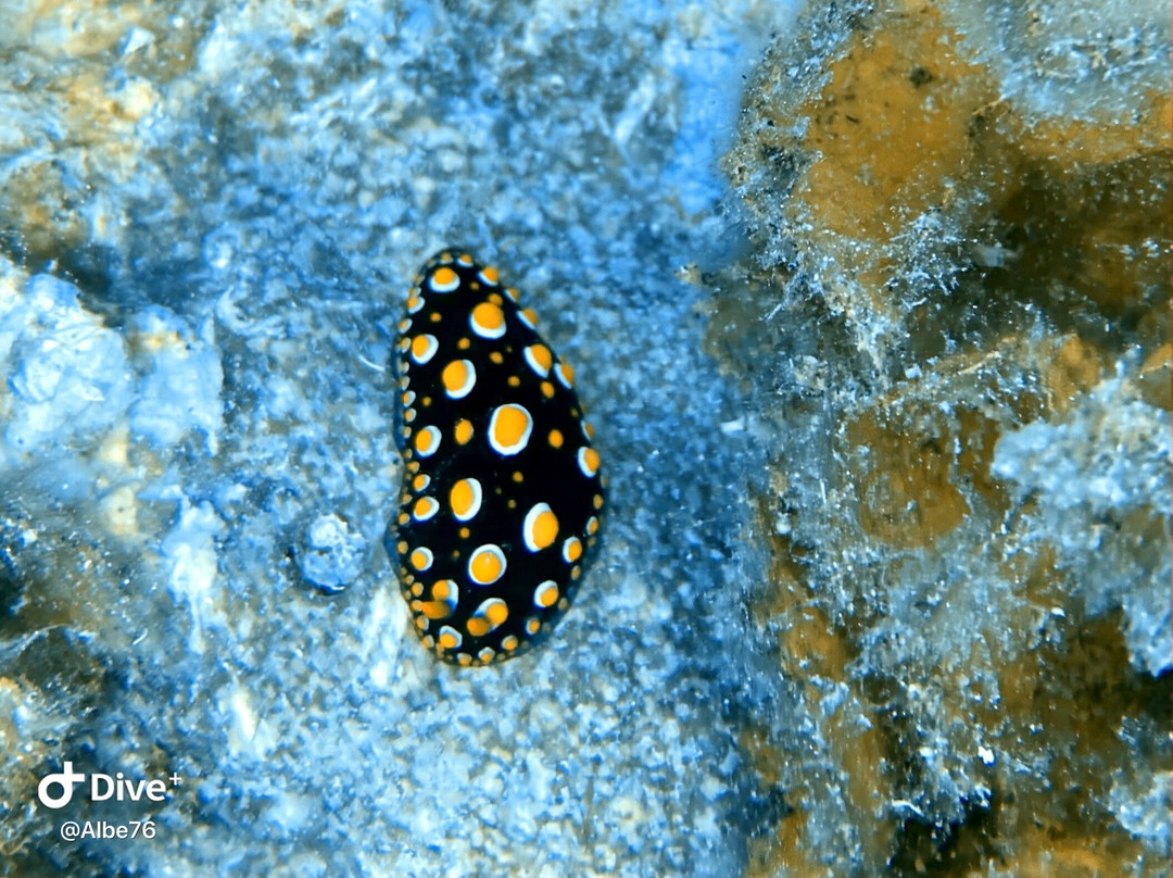 TOPDIVE Fakarava-Fakarava必去景点