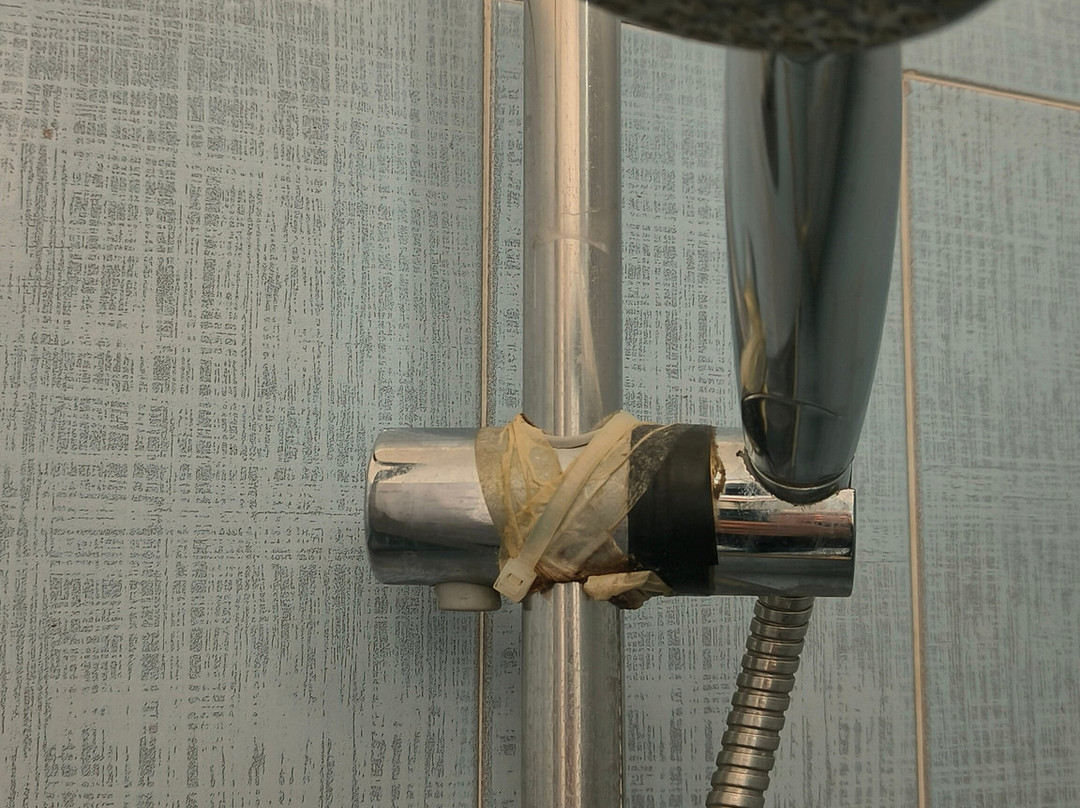 Hotel Tuscolano主图