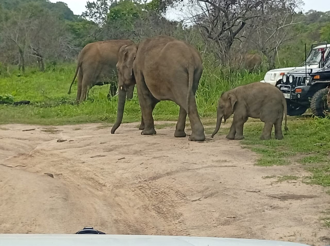 Explore Safari Tours-哈巴拉娜必去景点