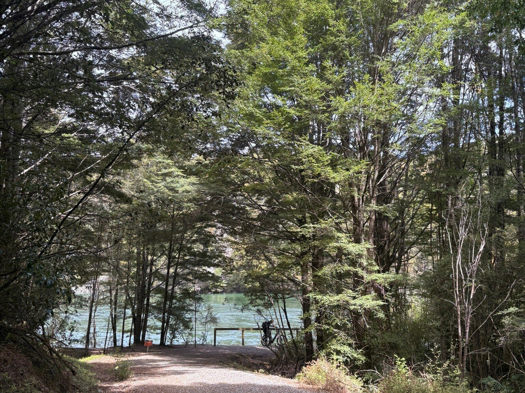 Bike Fiordland - Wild Rides-蒂阿瑙必去景点