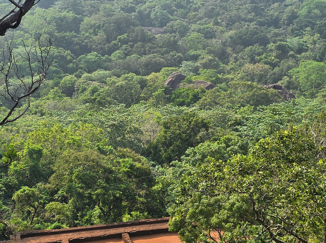 See Lanka Travels-Waikkal必去景点