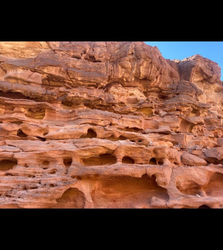Sharm Holidays & Tours