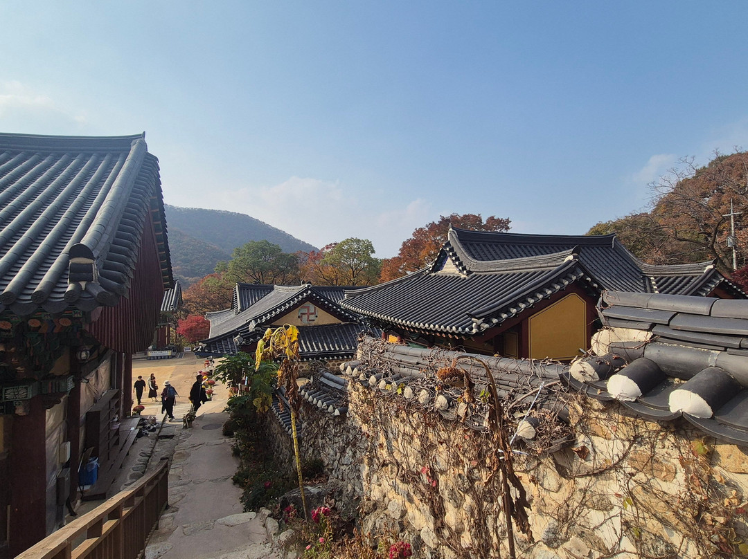 Gapsa temple-公州市必去景点