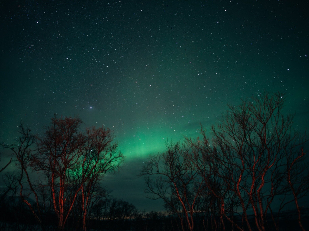 Day Out Narvik-纳尔维克必去景点