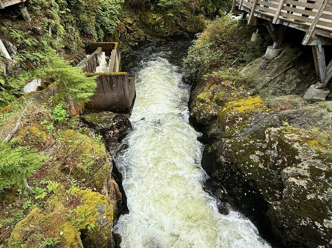 Creek Street-凯奇坎必去景点