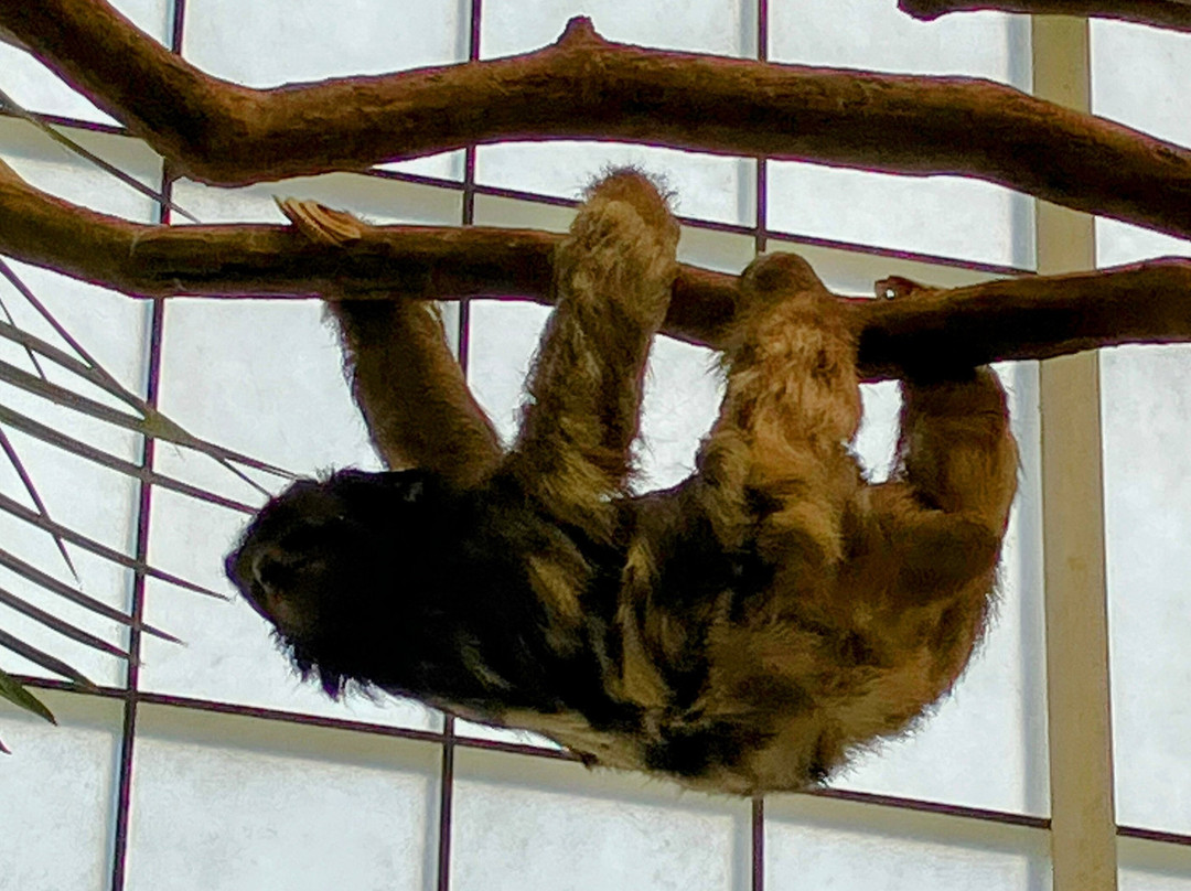 达拉斯世界水族馆-达拉斯必去景点