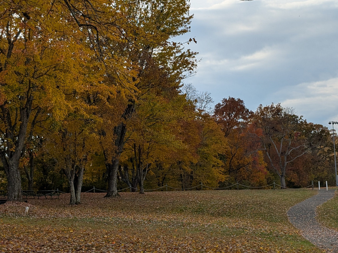 Grainger County Parks & Recreation-Rutledge必去景点