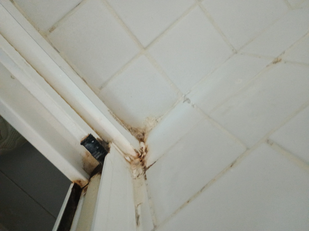 Balneario Cestona主图