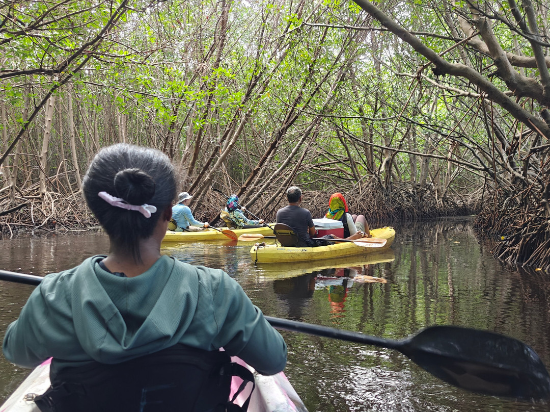 Limeland Tours-特立尼达必去景点
