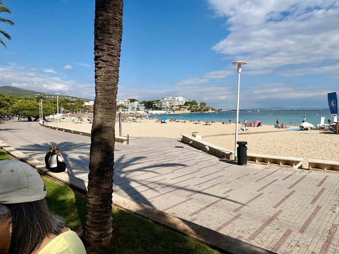 Palma Nova Beach-Palmanova必去景点