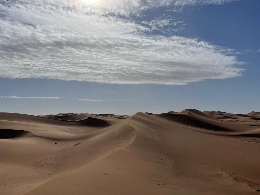 Racines du Désert-迈哈米德必去景点