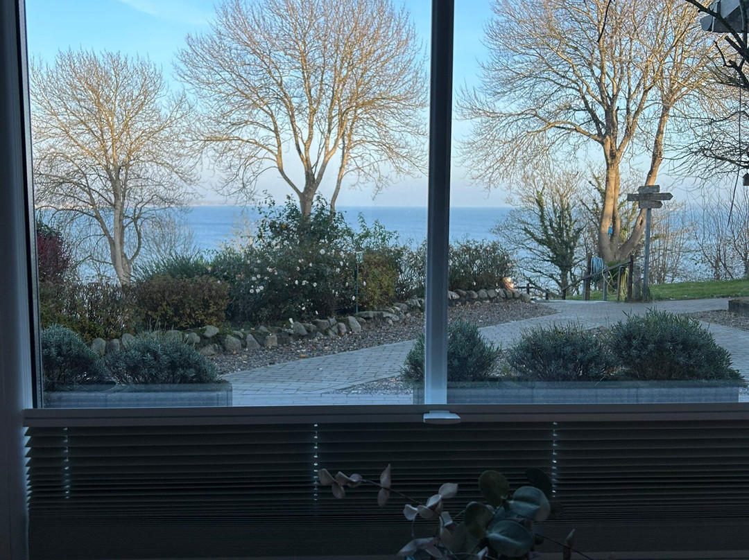 Hotel Alte Fischereischule主图