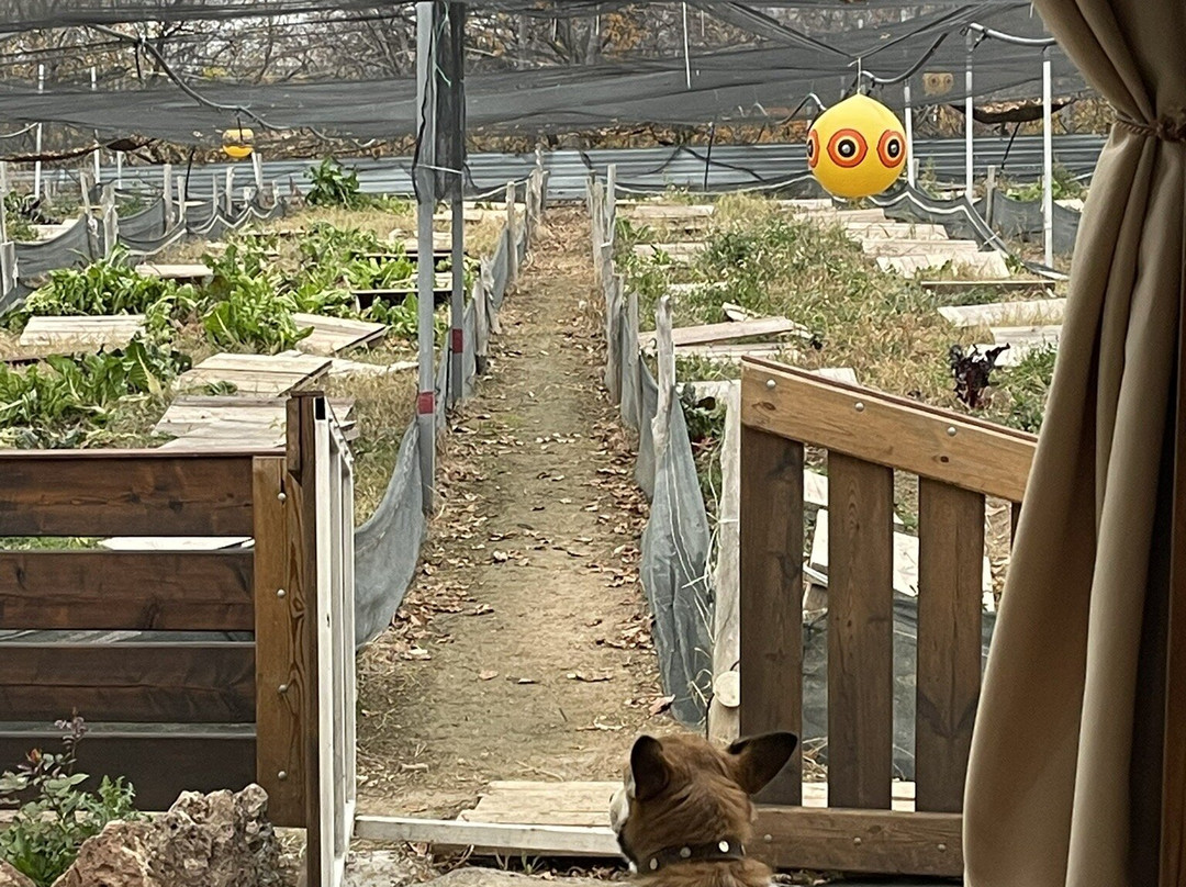 Sunny Snails-Byurakan必去景点