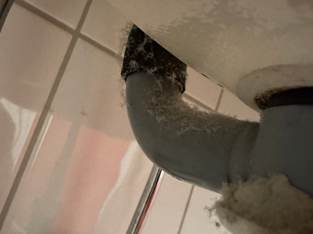 Best Western Leto Arena主图