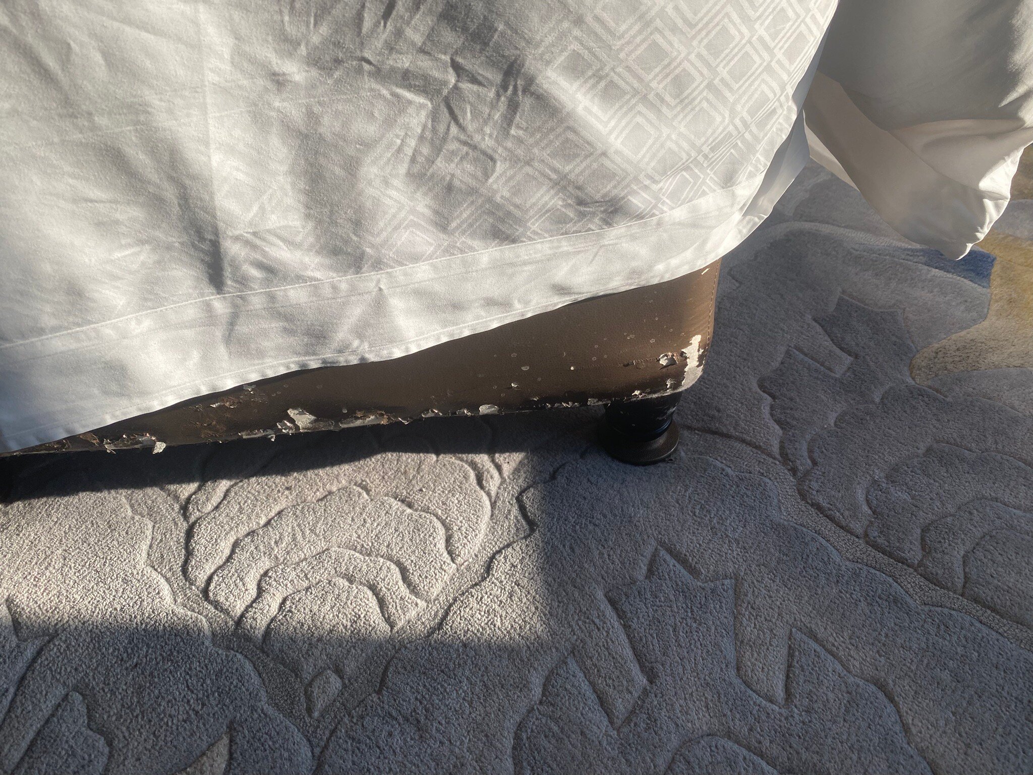 上海外滩瑞吉酒店-官方