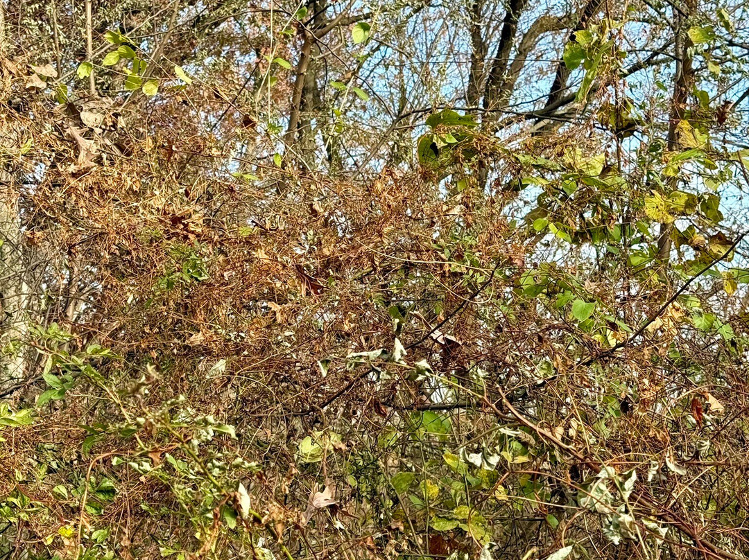 Indian Creek Nature Center-锡达拉皮兹必去景点