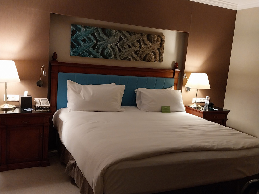 塞利希尔顿酒店主图