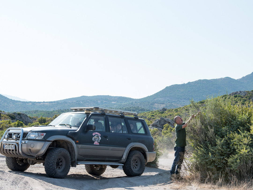 Saleccia Off Road-Saint Florent必去景点