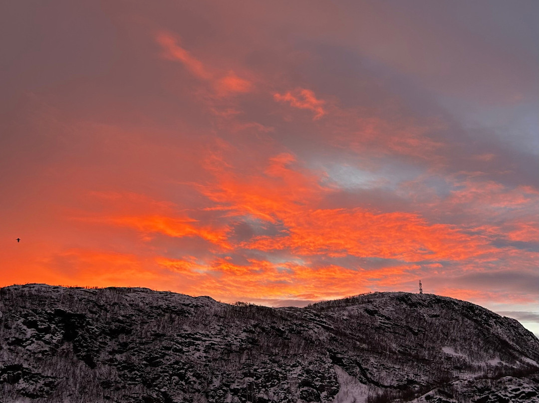 Lofoten Opplevelser-霍宁斯沃格必去景点
