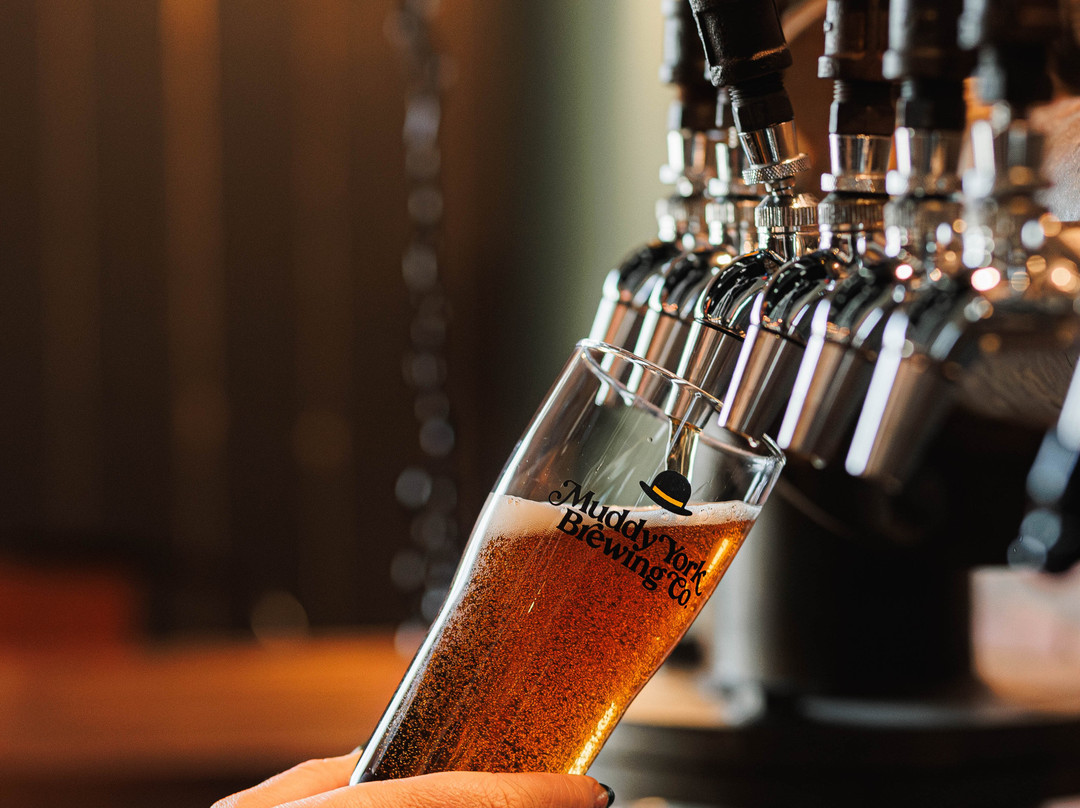Muddy York Brewing Co.-惠特彻奇-史托维尔必去景点