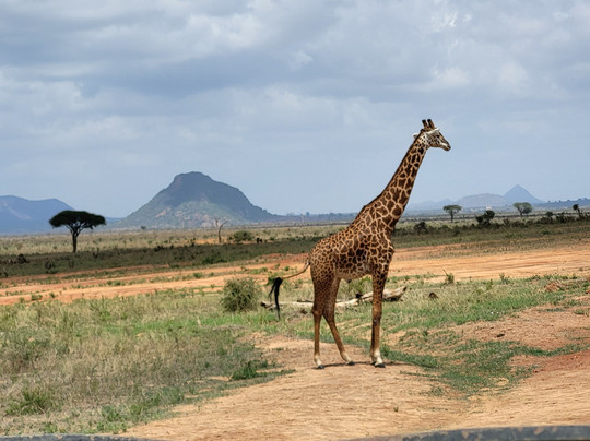 Asif Magical Safaris-瓦塔木必去景点