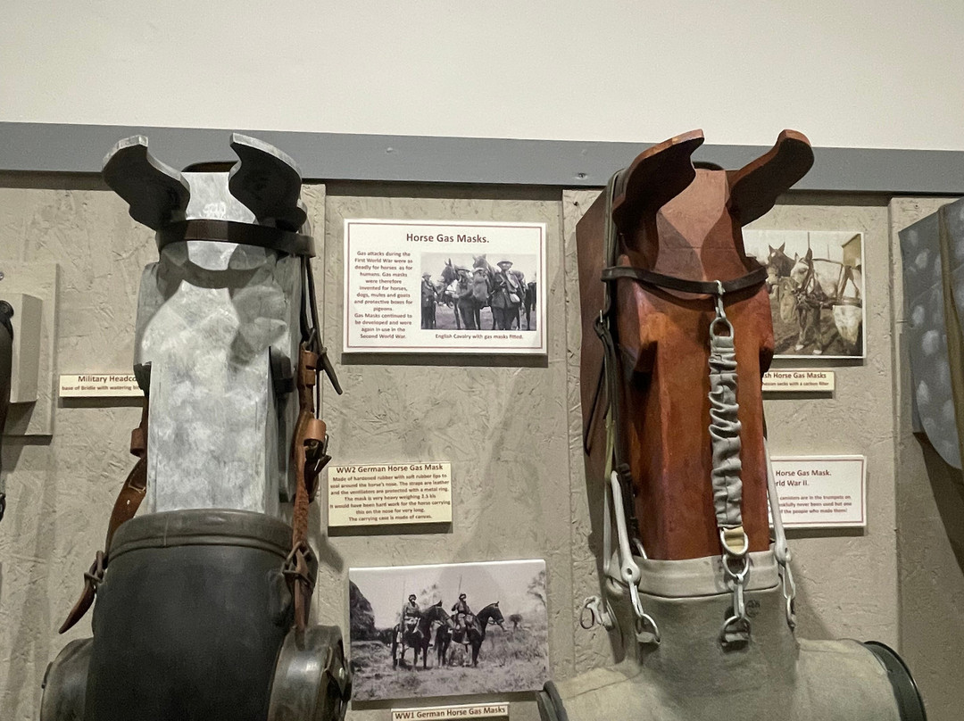 Museum Of The Horse-Tuxford必去景点