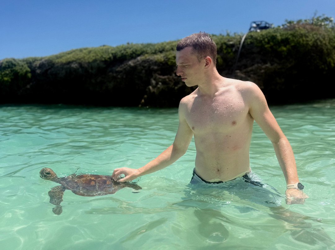 John's Authentic Island Tours-维拉港必去景点