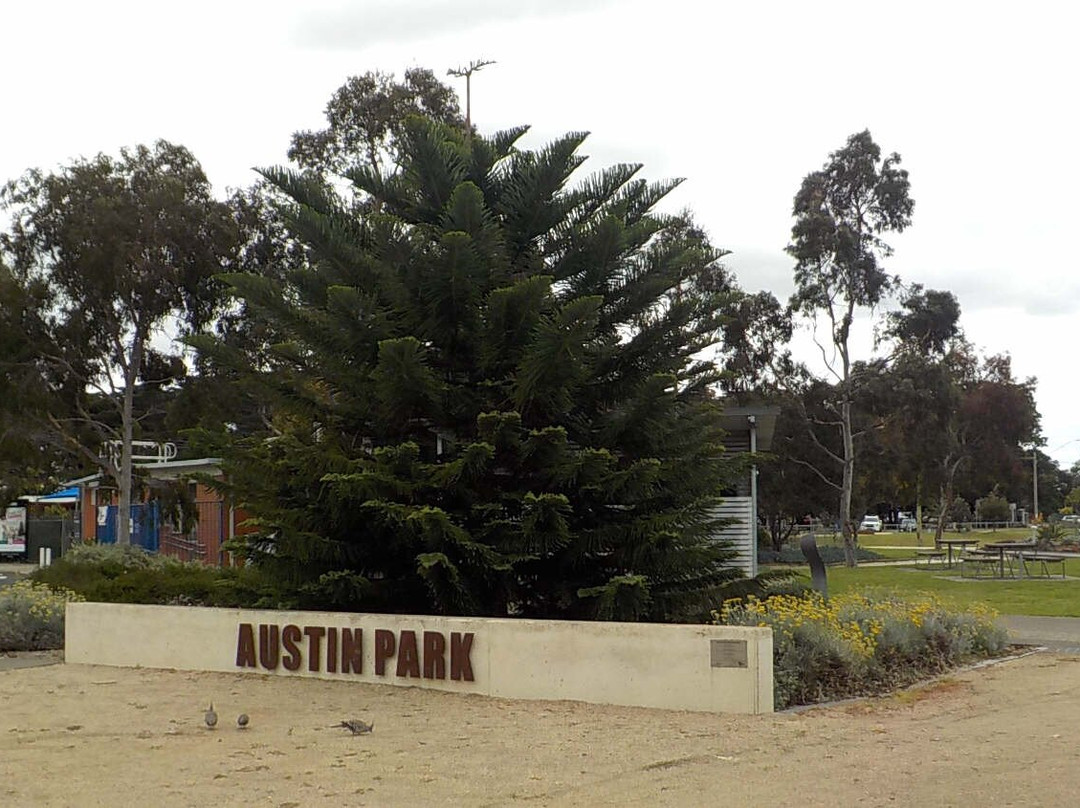 Austin Park-Lara必去景点