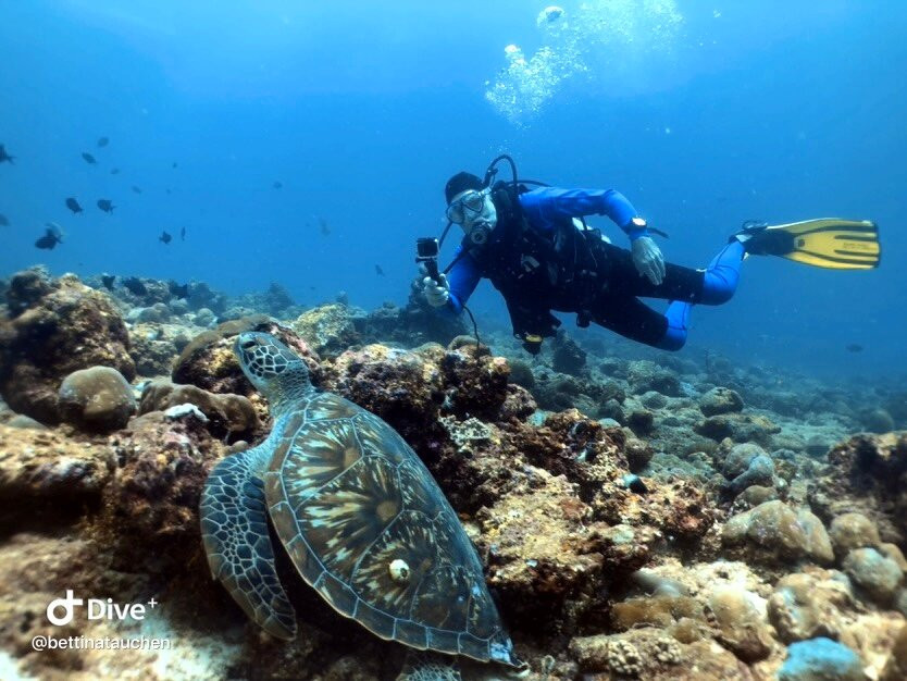 DivePoint Rannalhi-绚丽岛必去景点