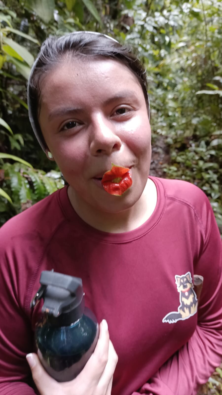 Piedra Piedra Lodge-官方